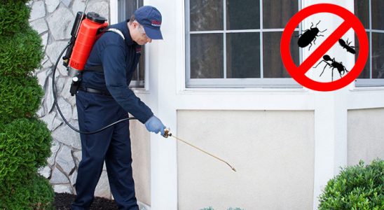 Çamlık Fare İlaçlama böcek ilaçlama ve haşere kontrolü — ilaclama-tr.com